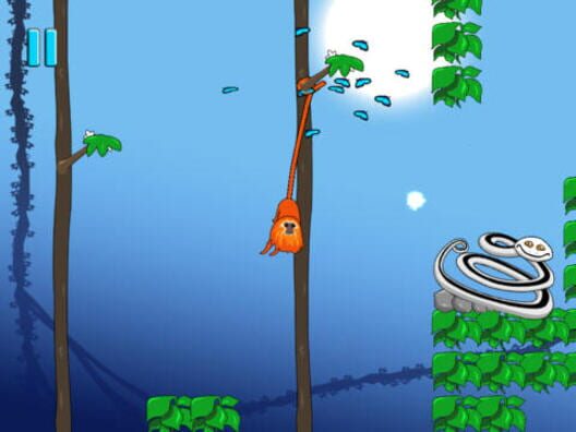 Rin the Tamarin cover