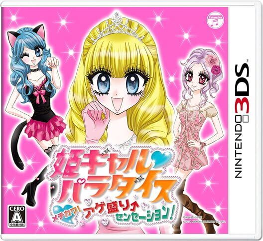 Hime Girl Paradise: Mechikawa! Age Sakari Sensation! cover