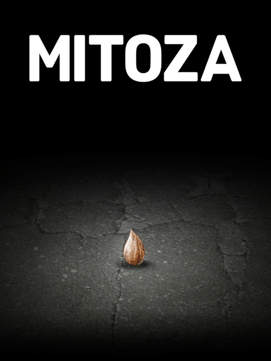 Mitoza