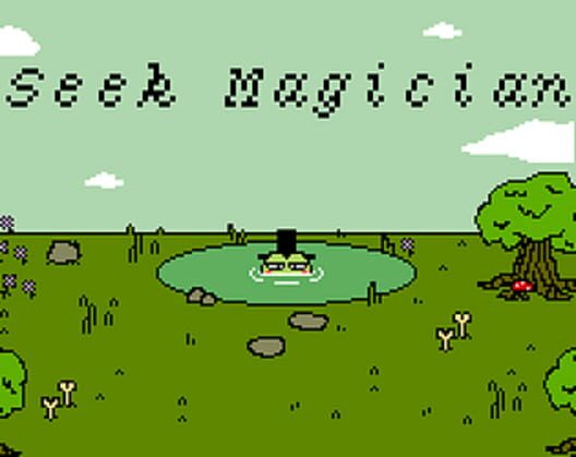 Seek Magician poster