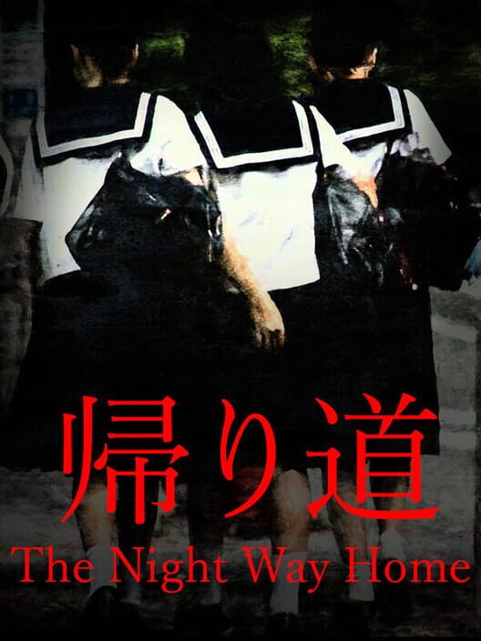 Walk Night Way Home screenshot