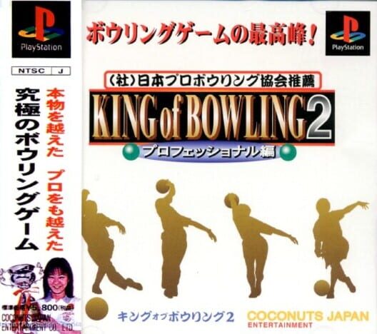 King of Bowling 2: Professional-hen