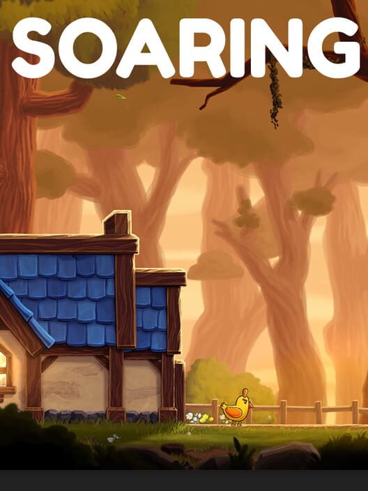 Soaring cover