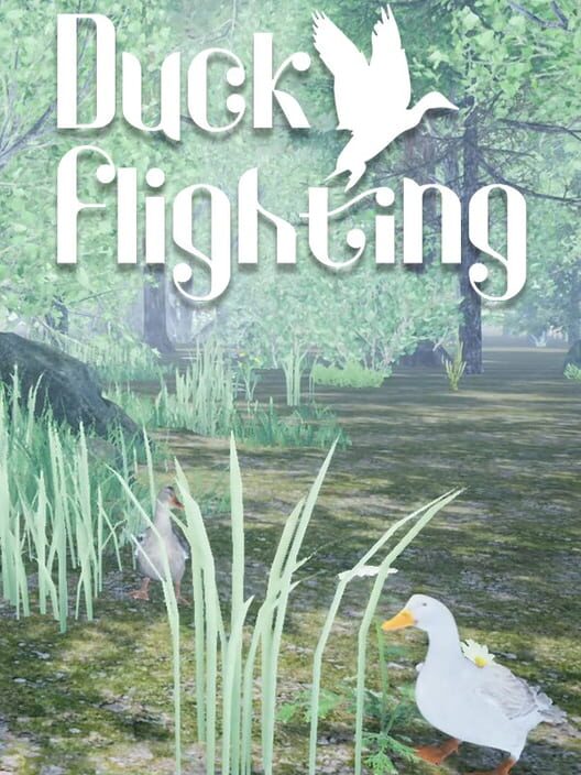 Duck Flighting cover
