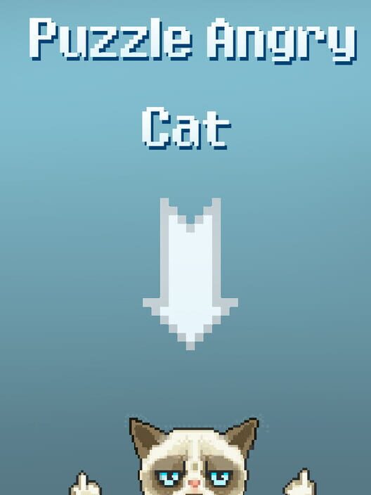 Puzzle Angry Cat cover