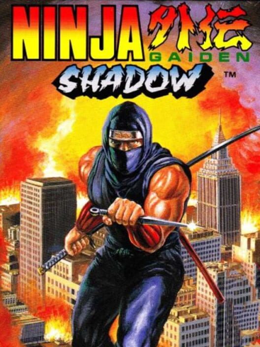 Ninja Gaiden Shadow poster