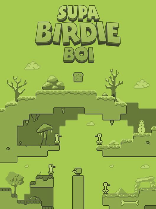 Supa Birdie Boi cover