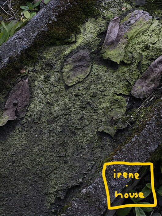 Irene.House screenshot