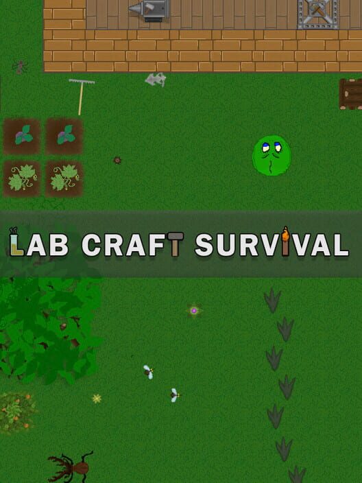 Lab Craft Survival screenshot