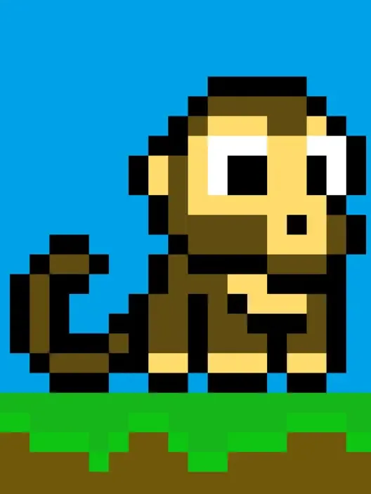 Monkey Time
