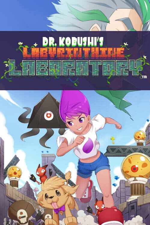 Dr. Kobushi's Labyrinthine Laboratory screenshot