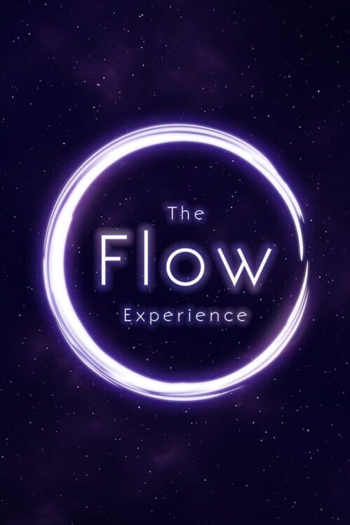 The Flow Experience screenshot