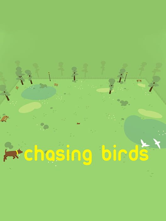 Chasing Birds Cover