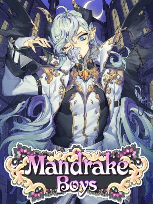 希少　栽培少年　Mandrakeboys Illustration Book Mandrake Boys (2017) | IGDB.com