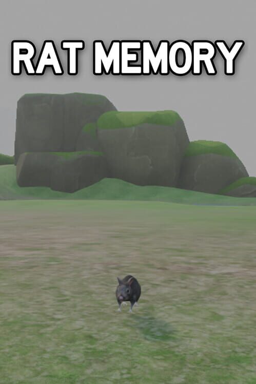 Rat Memory screenshot