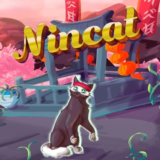 NinCat cover image