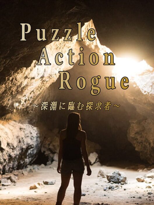 Puzzle Action Rogue cover