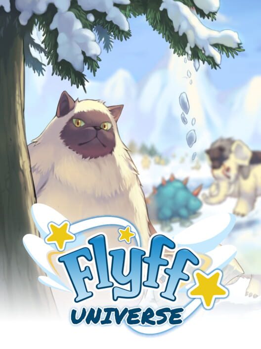 Flyff Universe cover