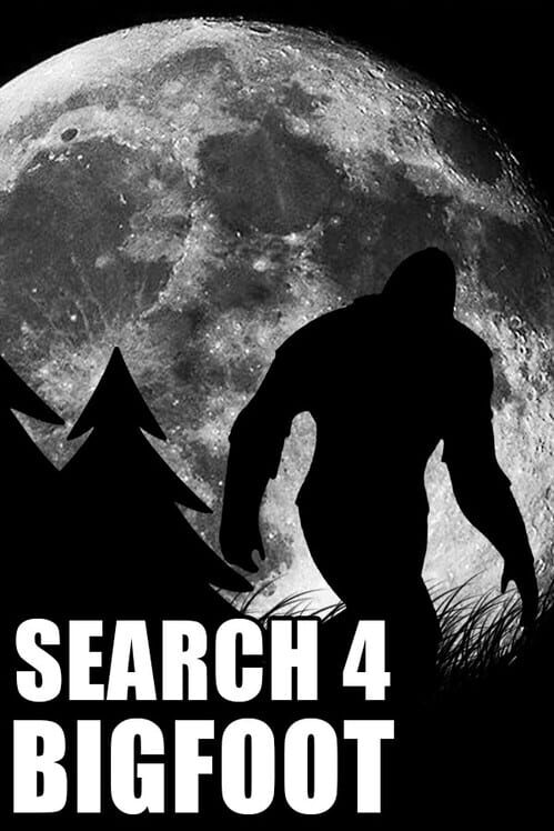 Search 4 Bigfoot screenshot