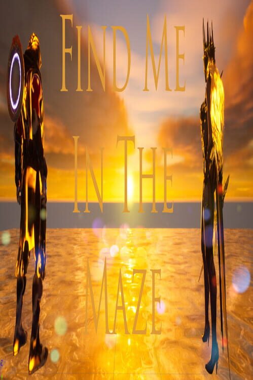 Find Me in the Maze screenshot