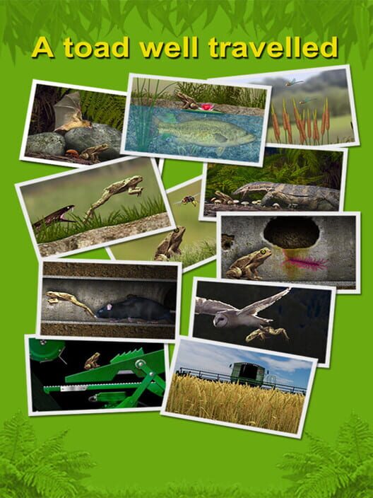 A toad well travelled screenshot