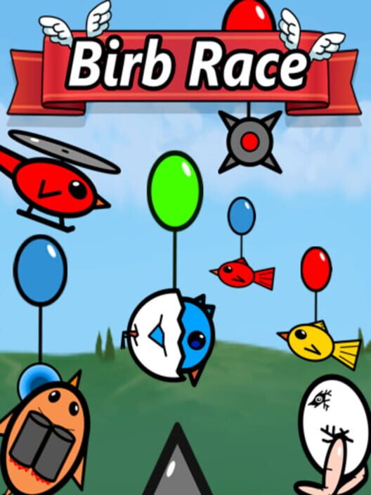 Birb Race screenshot
