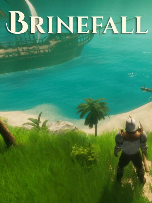 Brinefall screenshot