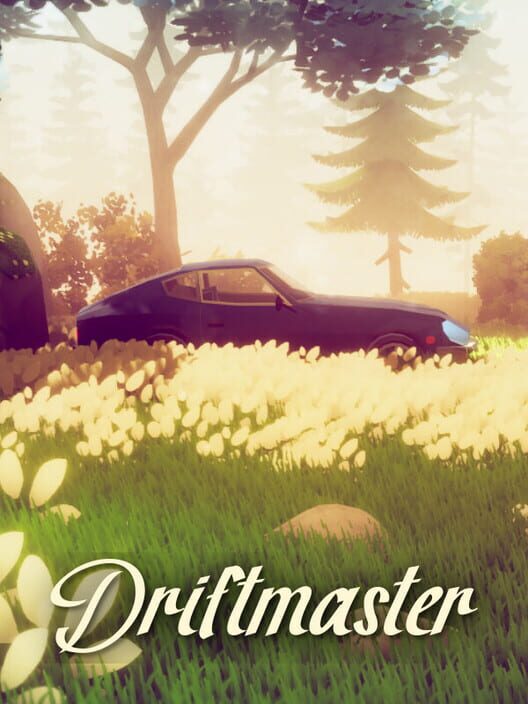 Driftmaster cover