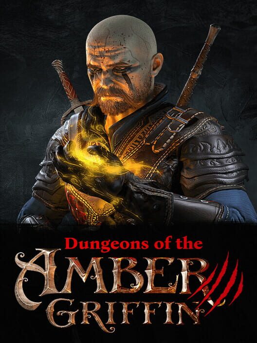 Capa de Dungeons of the Amber Griffin