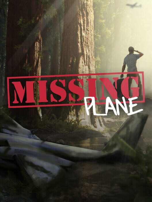 Missing Plane: Survival cover