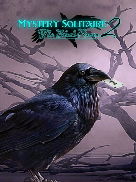 Mystery Solitaire: The Black Raven 2 poster