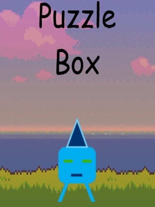 Puzzle Box cover