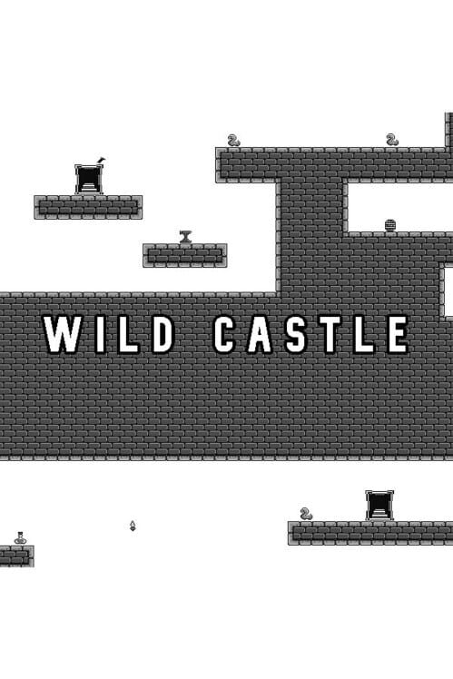 Wild Castle screenshot