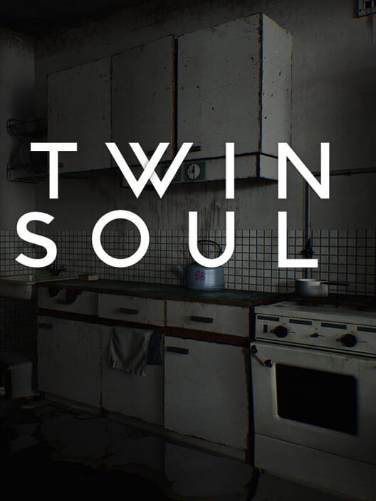 Twin Soul cover