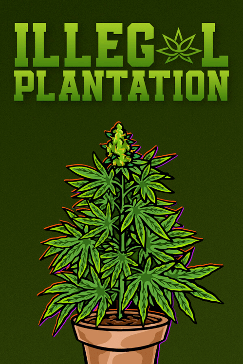 Illegal Plantation