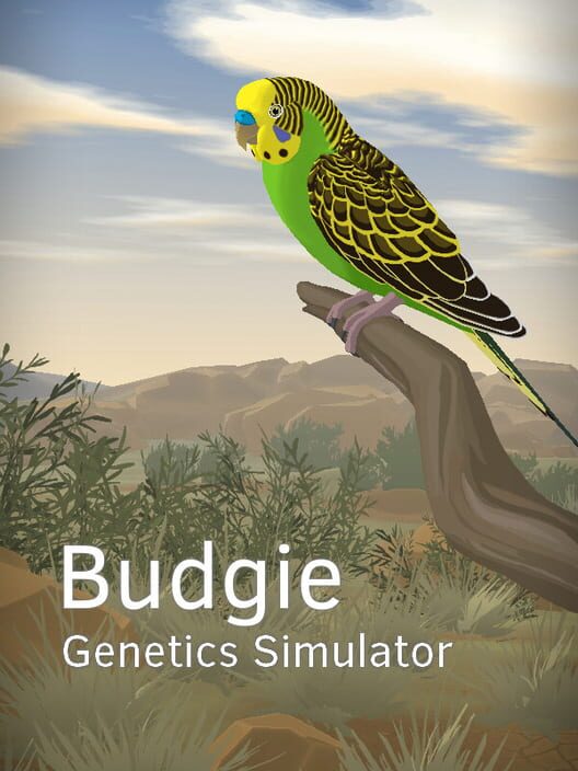 Budgie Simulator (2022)