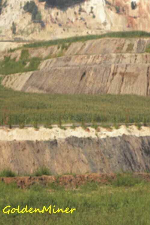 GoldenMiner