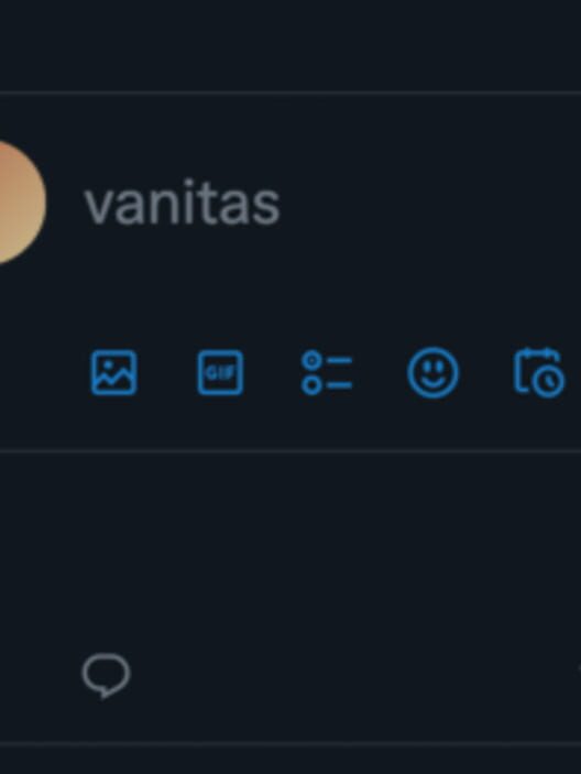 Vanitas cover