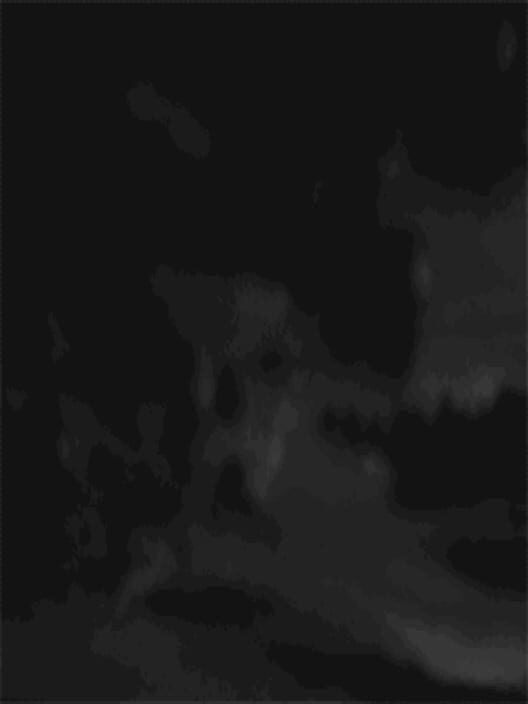 Moonblood cover