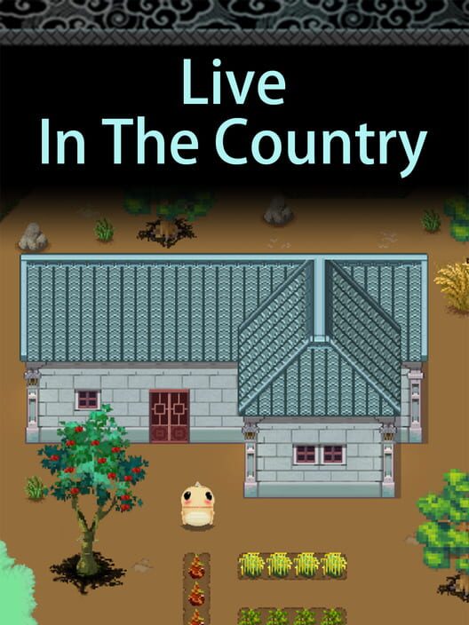 Live In The Country cover