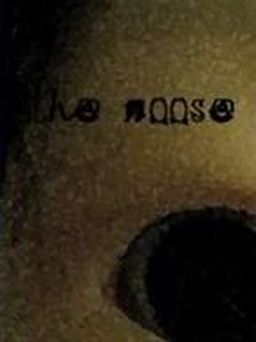 The Noose cover