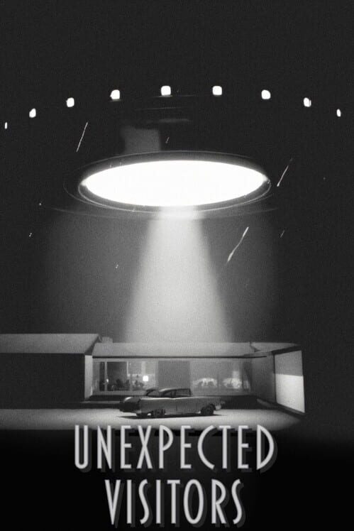 Unexpected Visitors cover