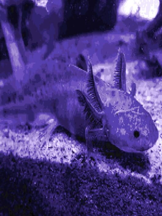 Axolotl cover