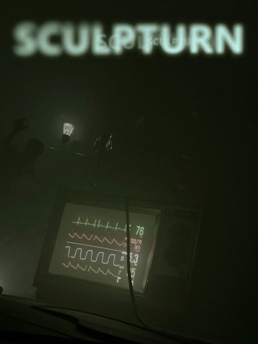 Sculpturn cover