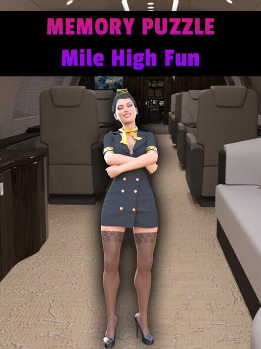 Memory Puzzle: Mile High Fun