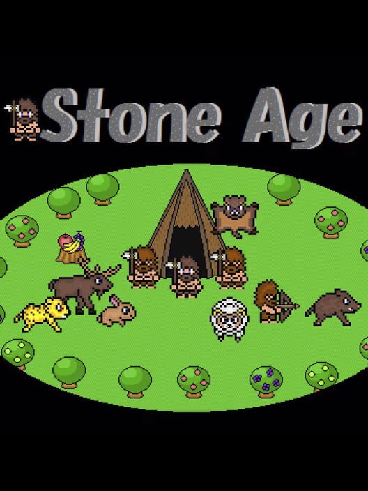 Stone Age cover image