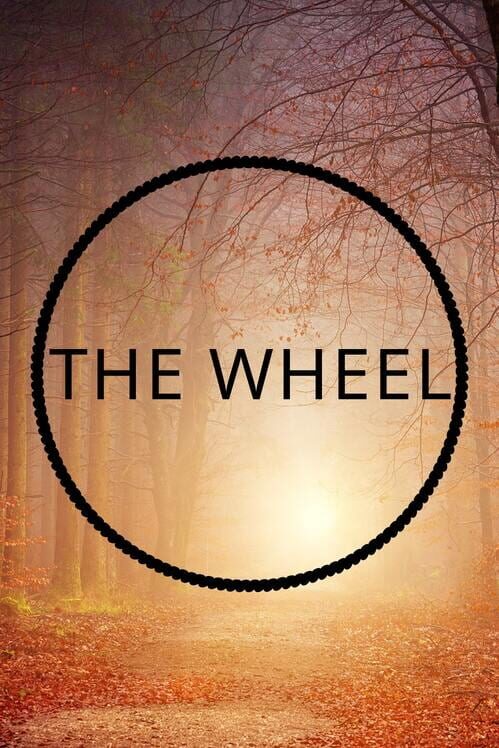 The Wheel cover