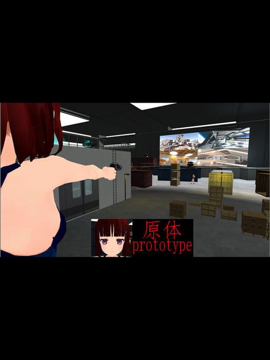 Prototype cover
