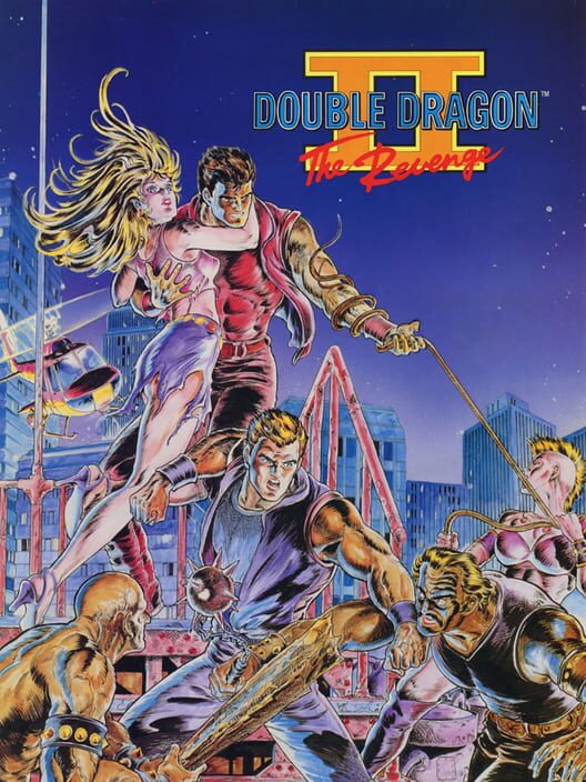 Double Dragon II: The Revenge poster