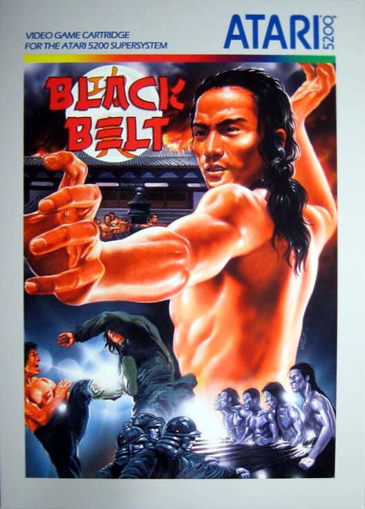 Black Belt cover